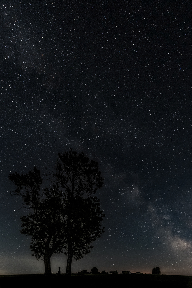 Platz 9 Conny Kleiner